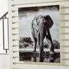 Cuadro Decorativo de Elefante - Estylo House Muebleria
