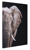Cuadro Decorativo De Elefante, Cuadro Moderno Sin Marcos - Estylo House Muebleria