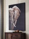 Cuadro Decorativo De Elefante, Cuadro Moderno Sin Marcos - Estylo House Muebleria