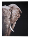 Cuadro Decorativo De Elefante, Cuadro Moderno Sin Marcos - Estylo House Muebleria