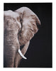 Cuadro Decorativo De Elefante, Cuadro Moderno Sin Marcos - Estylo House Muebleria
