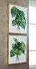 Cuadro Decorativo Moderno, Cuadro De Pared - Estylo House Muebleria